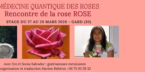 M\u00e9decine Quantique des Roses - La Rose rose