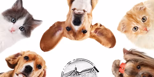 Pet of the Month & LIVE Music!!