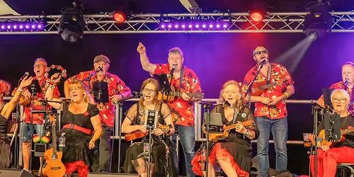 Palmy Ukulele Band Live @ The Shed