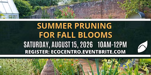 Summer Pruning for Fall Blooms