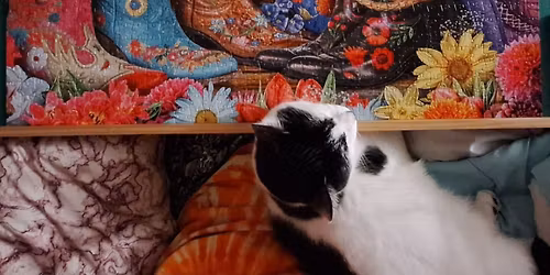 Puzzle Swap For All Puzzles! May 2024