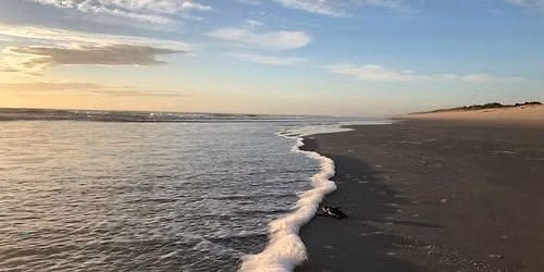 PUBLIC LANDS DAY AT PLAYLINDA BEACH (Playalinda Beach)