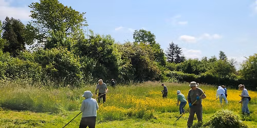 Lesl\u00e5ning i Annisse