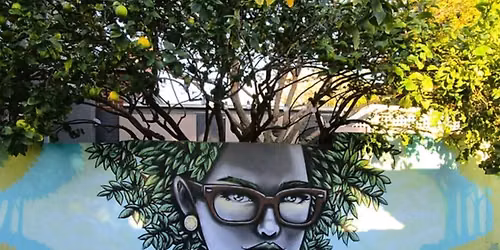 Mt Lawley Urban Art