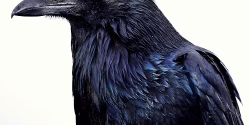 Standing in Awe of the Thundering Ice\u2014The 2026 Winter Minnesota Men's Conference