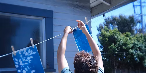 Sun Printing Botanicals w\/ Seaweedstuff