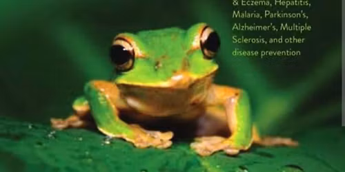 Ceremonie s medic\u00ednou Kamba(microdosing), Rape a Sanangy