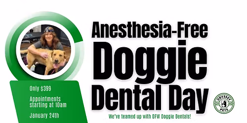 Doggie Dental Day