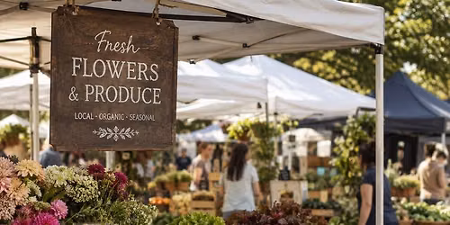 CASACAMPO FALL MARKET