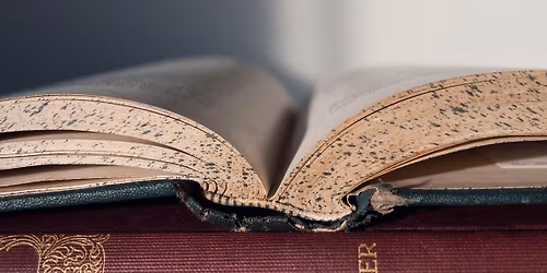 Literary Salon - Is This Literature?