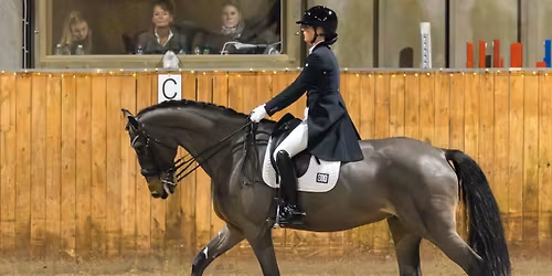 C-st\u00e6vne i dressur