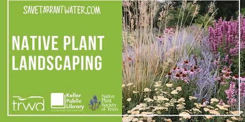 Native Plant Landscaping