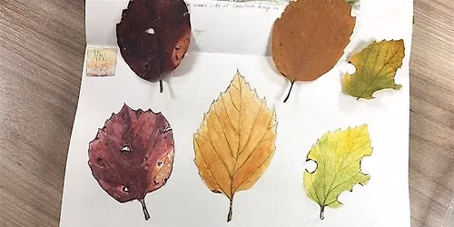 Introduction to Nature Journaling