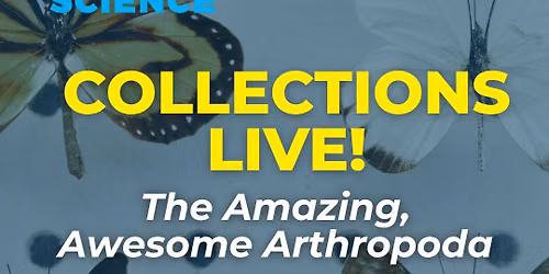 Collections Live: The Amazing, Awesome Arthropoda