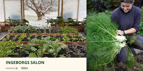  TALK Dyrk gr\u00f8ntsager \u00e5ret rundt \u2013 den regenerative k\u00f8kkenhave