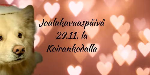 Joulukuvaus Koirankodassa