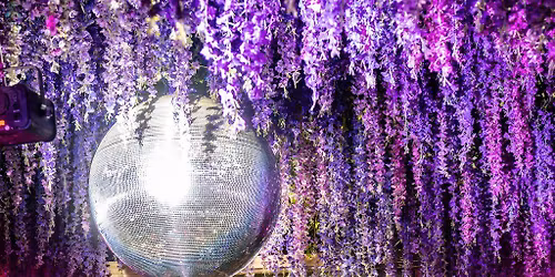 Mama's Friday w\/ Altasoph All Night Long + Live Music