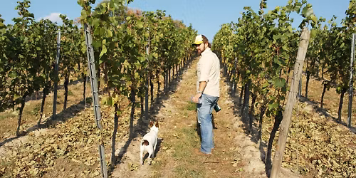 Heppenheim - Biergarten Halber Mond Biergarten Beats