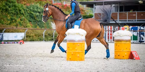 Semin\u00e1\u0159e WE v P\u0159el\u00edci