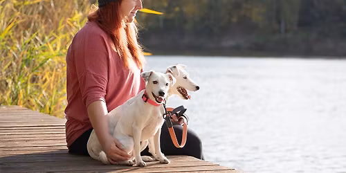 Semin\u00e1r s Ka\u010dkou Suchovskou