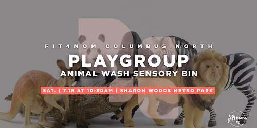 Camp FIT4MOM: Animal Wash Sensory Bin