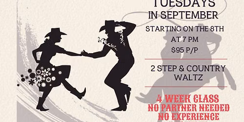 Two Step & Country Waltz Series!