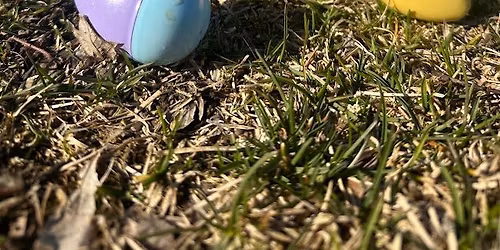 Easter Egg Hunt