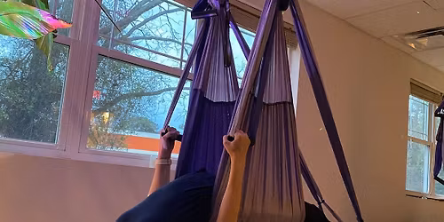 Aerial Yoga Fusion with Amy