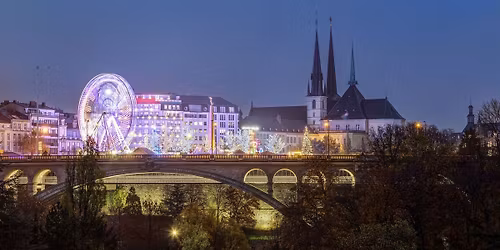 Winterlights by Night - guided tour
