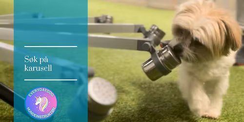 S\u00f8k p\u00e5 karusell 