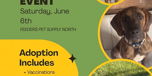 JUNE ADOPTION EVENT