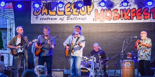 De tunge drenge i Baghuset