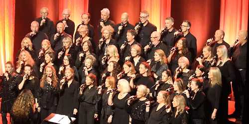 Back in Business X-mas - helt for seg selv