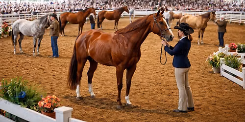 Winnebago 4-H Horse and Pony clinic (4-H members only)