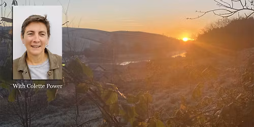 The Seven Factors of Awakening: a 6-night Buddhist meditation retreat