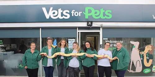 Open Day & Fun Dog Show