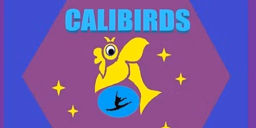 Calibirds Calisthenics End of Year Showcase