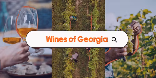 Wines of Georgia On Tour: Miami
