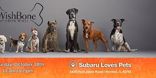Subaru Loves Pets: Adoption Event