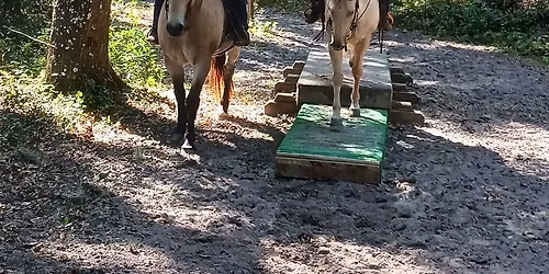 RCCC Obstacle Practice 