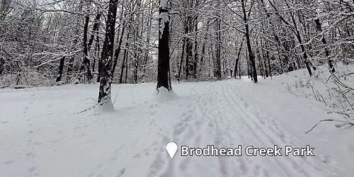 Wellness Walk at Brodhead Creek Park