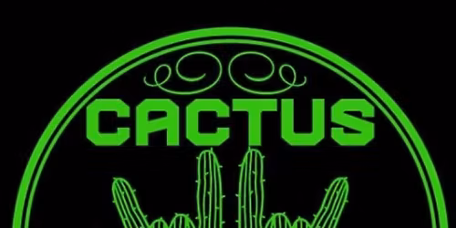 Trash Pandas...The French Irish Coalition... The Dead Ends!