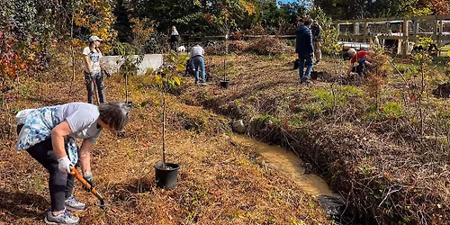 Volunteer in the Eco-Corridor: May 20