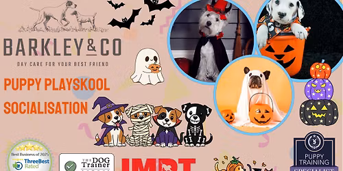Halloween Puppy Playskool - Saturday Social \ud83c\udf83