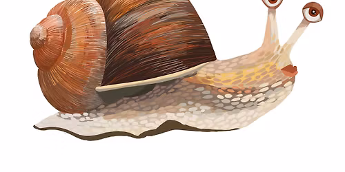 Kriebelbeestjeswandeling - nieuwe opdrachten!