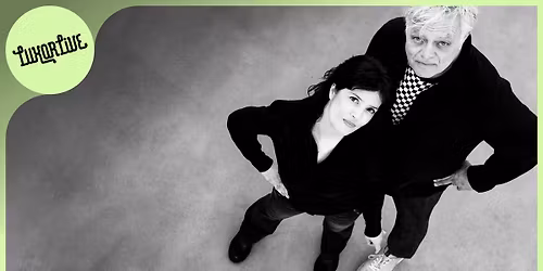 Robert Jan Stips Presents S t i p s G o u l d i n g