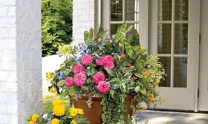 Porch Planter Workshop 5\/19 5:30pm