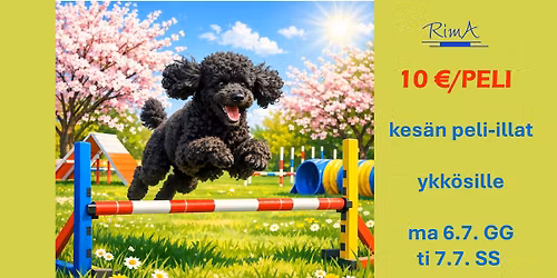 RimAn kes\u00e4n peli-illat, maanantai 6.7. ja tiistai 7.7.