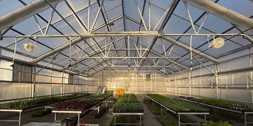 Greenhouse Plant Sale