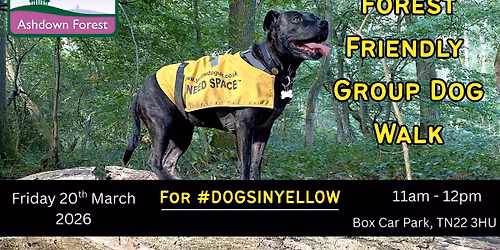 Forest friendly group dog walk for #dogsinyellow